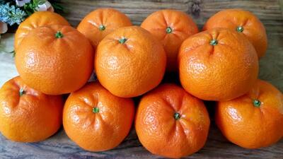  کلیه، کبد و ریه ها را تمیز کنید. کل باکتری از بدن خارج می شود