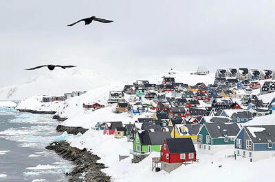 شوک در نوردیک