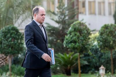 وزیر جهاد کشاورزی: قیمت‌ها پس از حذف ارز تالار اول غیرمتعارف نخواهد بود / اثر ارز ترجیحی بر قیمت گوشت زیر ۱۵ درصد، بر گوشت مرغ زیر ۴۰ درصد و بر قیمت روغن ۱۰۰ درصد است