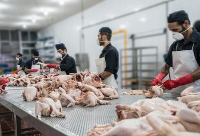 اختلاف اعلام قیمت جدید مرغ؛ ۲۳۶ هزار تومان یا ۲۷۸ هزار تومان؟