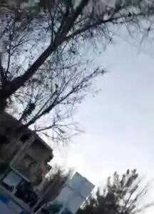 ببینید| سلاح آمریکایی در دست یک تروریست مسلح در لردگان