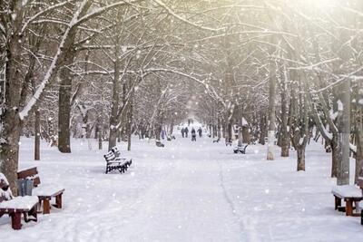 هشدار باران سیل‌آسا و کولاک برف در ۲۱ استان از روز جمعه ۱۹ دی