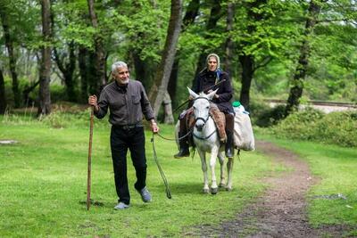 تصاویر؛ دامداری سنتی گالش مِنزل