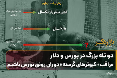 دو تله بزرگ در بورس و دلار؛ مراقب «کبوترهای گرسنه» دوران رونق بورس باشیم