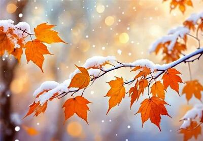 آخرین آمار بارش‌ها در ایران: آمار 21 استان منفی است