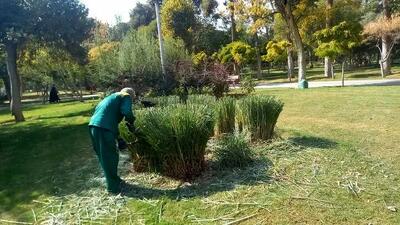تمامی اراضی مشجر تهران دارای شناسنامه اکولوژیک و شهرسازی شدند