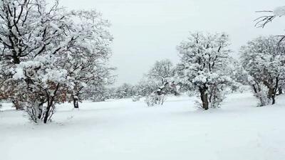  پیش بینی بارش برف، وزش باد شدید و کاهش دما در بیشتر مناطق اصفهان