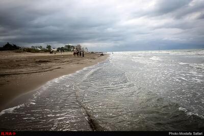 سقوط شتابان تراز آب خزر؛ کاهش زادآوری ماهیان و محدودیت فعالیت بنادر