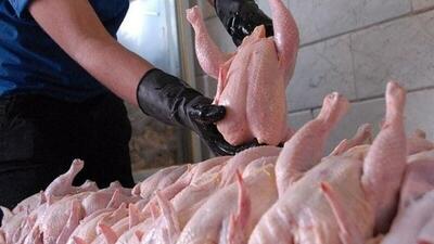 قیمت مرغ ۲۷۸ هزار تومان مصوب شد