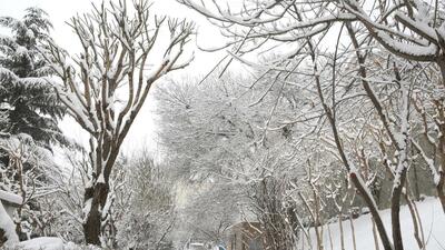 بارش‌ها بالاتر از نرمال، تهران در بحران