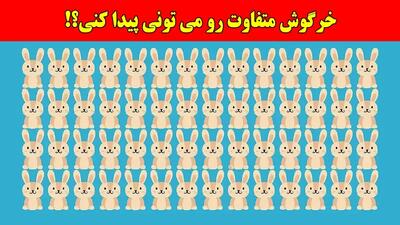 بازی فکری؛ اگر خرگوش متفاوت را پیدا کنی، جزو ۳٪ افراد تیزبین هستی!