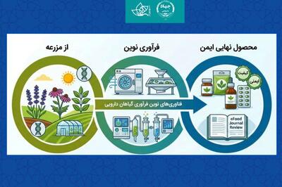  مروری جامع بر فناوری‌های نوین فرآوری گیاهان دارویی؛ از مزرعه تا محصول نهایی ایمن