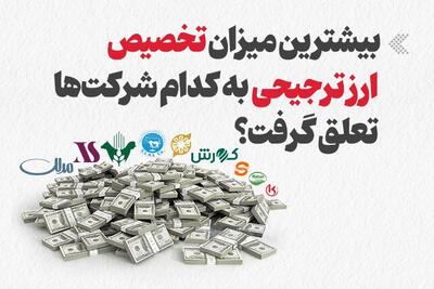  اینفوگرافیک/ بیشترین میزان تخصیص ارز ترجیحی به کدام شرکت‌ها تعلق گرفت؟
