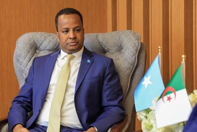  وزیر خارجه سومالی: تحت فشار شدیدی برای پذیرش آوارگان غزه هستیم