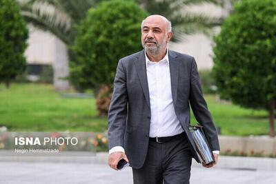 میدری: قدرت خرید مردم با طرح کالابرگ حفظ می‌شود