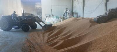  تشدید نظارت بر بازار نهاده های دامی