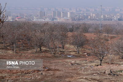  تشریح پروژه‌های شهرداری تبریز/ از مقبرالشعرا تا سنگ فرش خیابان ثقه‌السلام