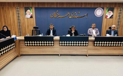  معاون استاندار هرمزگان: نظارت مستمر شرط پیشگیری از چالش‌های فنی است