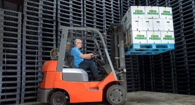 نقش پالت پلاستیکی در افزایش بهره‌وری صنایع کشور | جهان نیوز