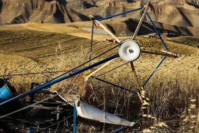 اعلام نگرانی از قیمت خرید تضمینی گندم؛ جو گران‌تر از گندم شد