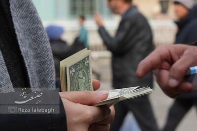 ریزش شدید نرخ دلار: اعداد جدید بازار ارز حیرت‌انگیز شدند