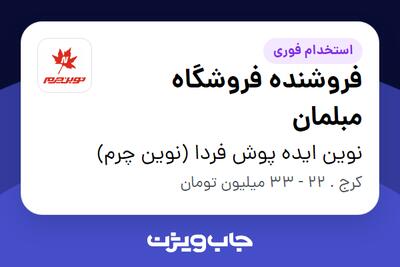  استخدام فروشنده فروشگاه مبلمان در نوین ایده پوش فردا (نوین چرم)