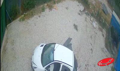 ببینید | یورش ناگهانی پژو ۲۰۷ به حیاط یک خانه! - کلبه سرگرمی