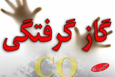  گازگرفتگی در یافت‌آباد تهران/ جزئیات - کلبه سرگرمی