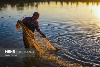 نیازی: احیای آب‌بندان‌های مازندران ۳ تا ۴ هزار میلیارد تومان نیاز دارد