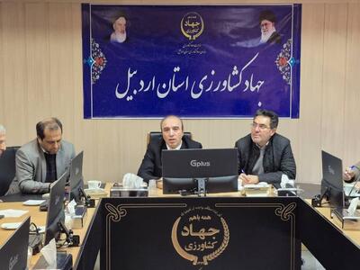  خلیلی:نهاده‌های دامی در استان اردبیل به میزان کافی تامین شده است