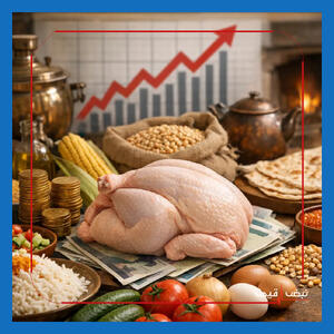 شوک بزرگ به سفره‌های ایرانی | قیمت مرغ رسما از مرز ۳۰۰ هزار تومان عبور کرد