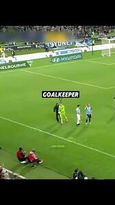 ویدئو: پرنده‌ای که از شلیکِ مرگبار به آسمان بازگشت - پارس فوتبال