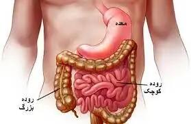  تقویت و سلامت روده بزرگ با راه های طبیعی