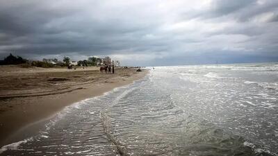 پیامدهای سقوط تراز آب خزر؛ از کاهش زادآوری ماهیان تا اختلال در فعالیت بنادر