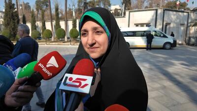 بهروز آذر معاون امور زنان و خانواده رییس جمهور :اصلاحات لایحه خشونت علیه زنان  در حال بررسی است