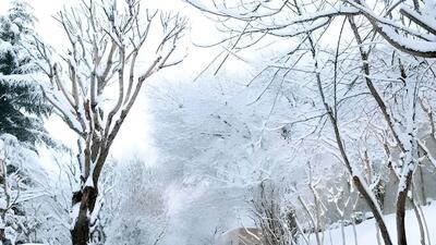  زمستان خوانسار؛ روایت سپیدی در دل کوهستان + فیلم