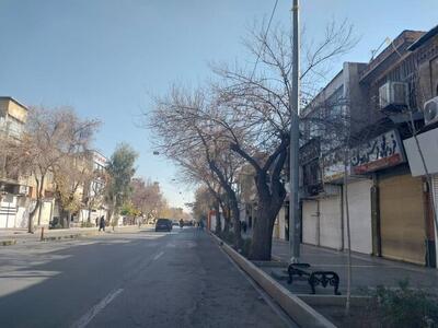  ایسنا: بخش‌هایی از بازار شیراز امروز چهارشنبه تعطیل بود