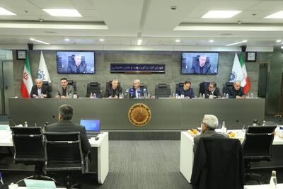  وزیر اقتصاد: معیشت مردم از تصمیمات دولت در مورد آرد و دارو لطمه نخواهد خورد