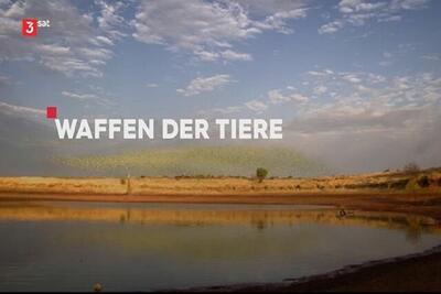 مستند حیات‌وحش «نبرد توانمندی‌های حیوانات» دوبله شد