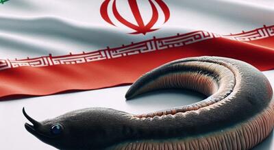 فناوران ایرانی زالوی طبی را به بازار جهانی رساندند