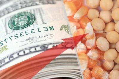 بازی «پلیس خوب، پلیس بد» با سفره مردم / فردا مرغ را با چه قیمتی می فروشید؟