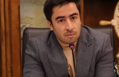 دستیار همتی در امور ارزی منصوب شد