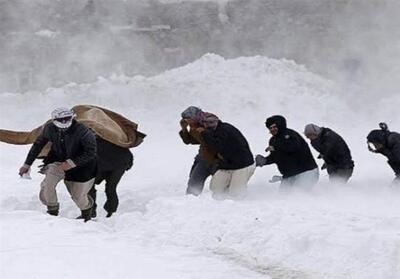 هشدار بهداشتی درباره افزایش خطر سرمازدگی در روزهای سرد سال - تسنیم