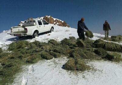خشکسالی‌های پی‌درپی و تهدید حیات‌وحش ایران - تسنیم