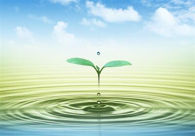 تمرکززدایی در مدیریت آب؛ راهکار کاهش وزن دولت در سیاستگذاری - تسنیم