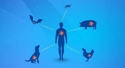 افزایش بیماری‌های مشترک انسان و حیوان به دنبال تغییر اقلیم - تسنیم