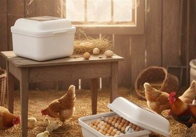 کدام دستگاه جوجه کشی برای پرورش مرغ مناسب است؟ - تسنیم