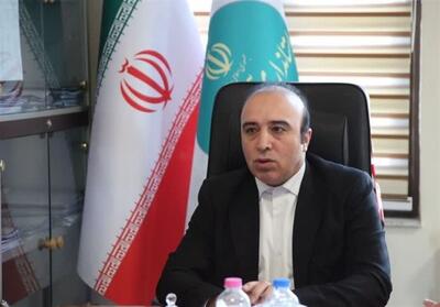 تأمین نهاده‌های دامی به میزان کافی در اردبیل - تسنیم