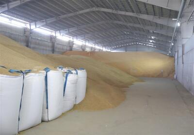 ذخیره 80 هزار تنی نهاده‌های دامی در بندر کاسپین - تسنیم