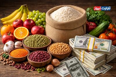 قیمت مرغ ممکن است تا 2 و نیم برابر افزایش داشته باشد / قیمت برنج بیش از ۳۰ درصد رشد نمی‌کند